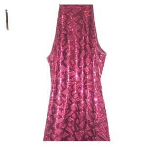 Windsor Maroon/Crimson Sequin Dress